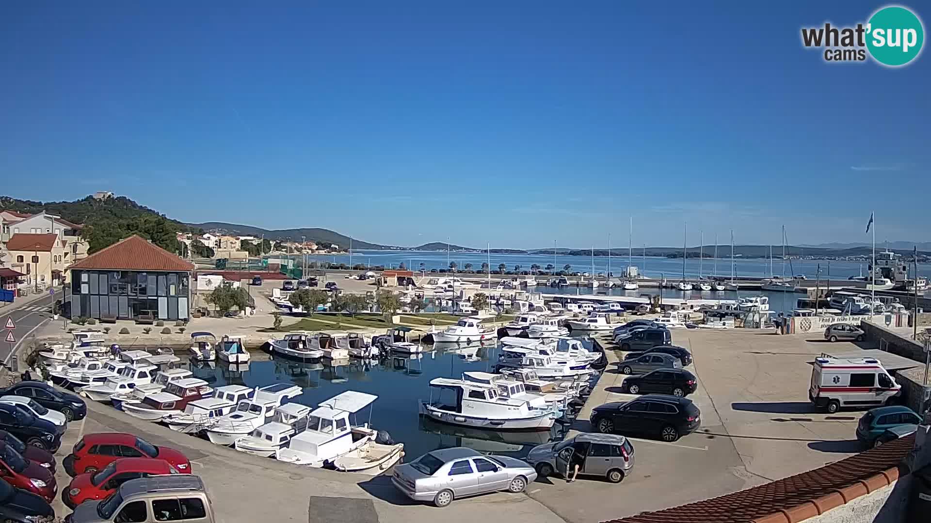 Webcam Live Tkon – Marina and port