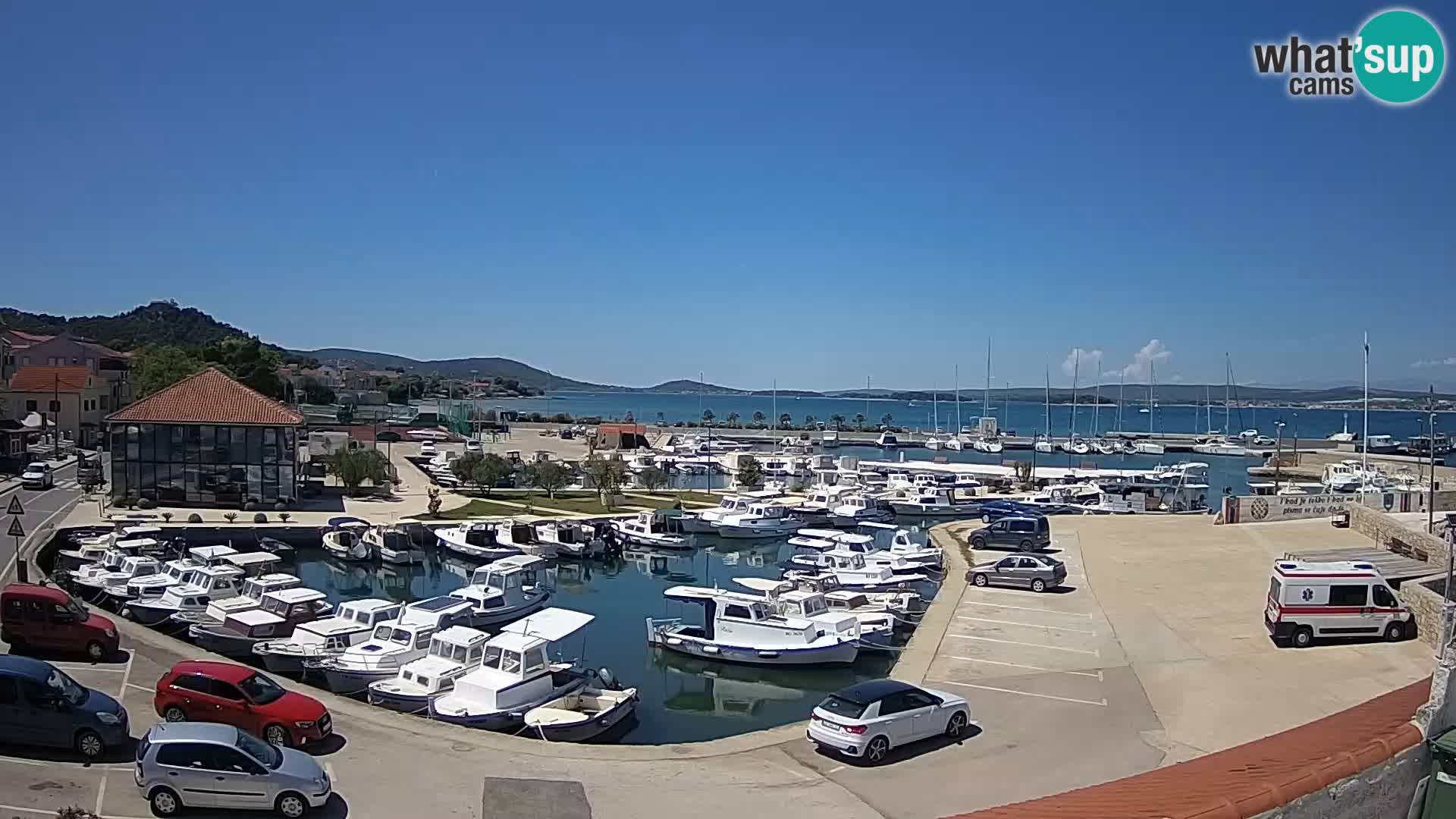 Webcam Live Tkon – Marina and port