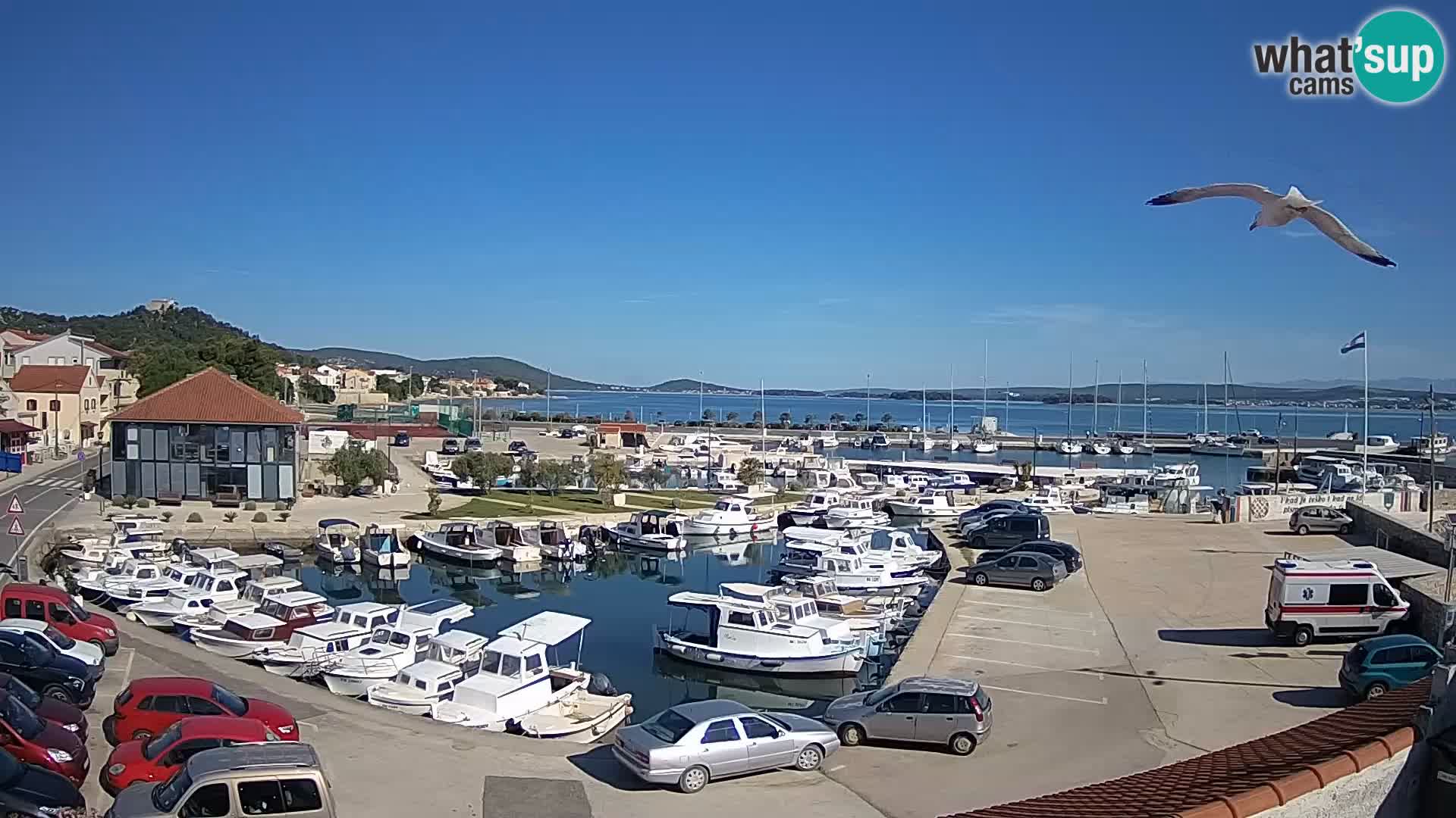 Webcam Live Tkon – Marina i luka