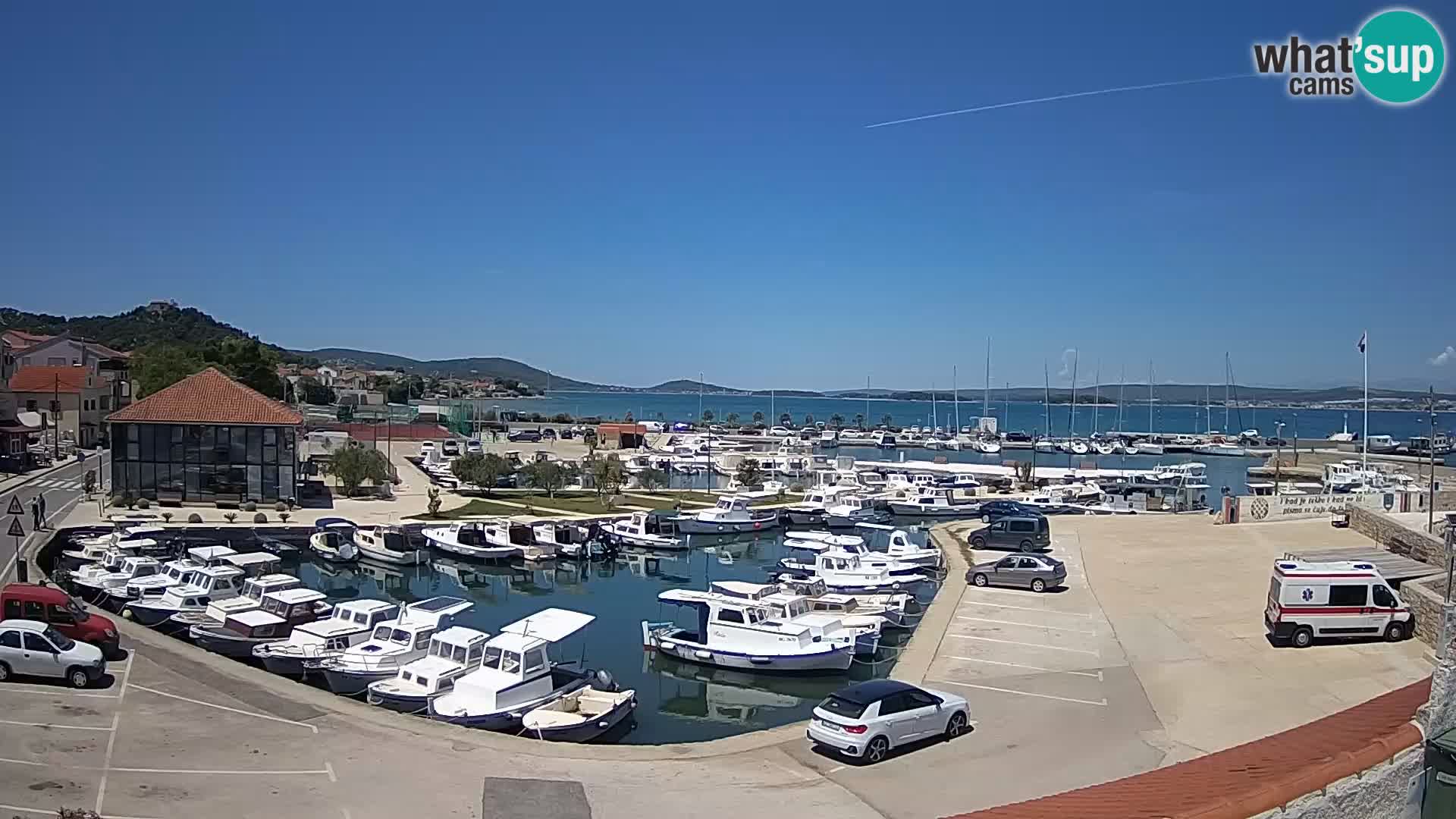 Webcam Live Tkon – Marina and port