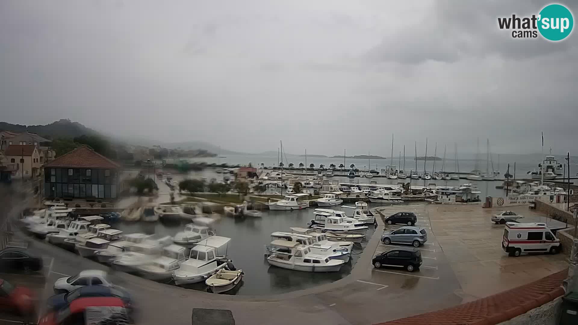 Webcam Live Tkon – Marina and port