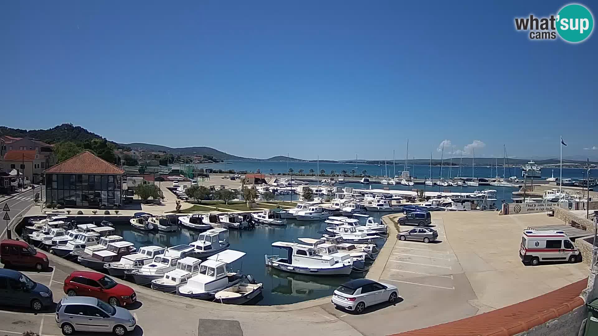 Webcam Live Tkon – Marina and port