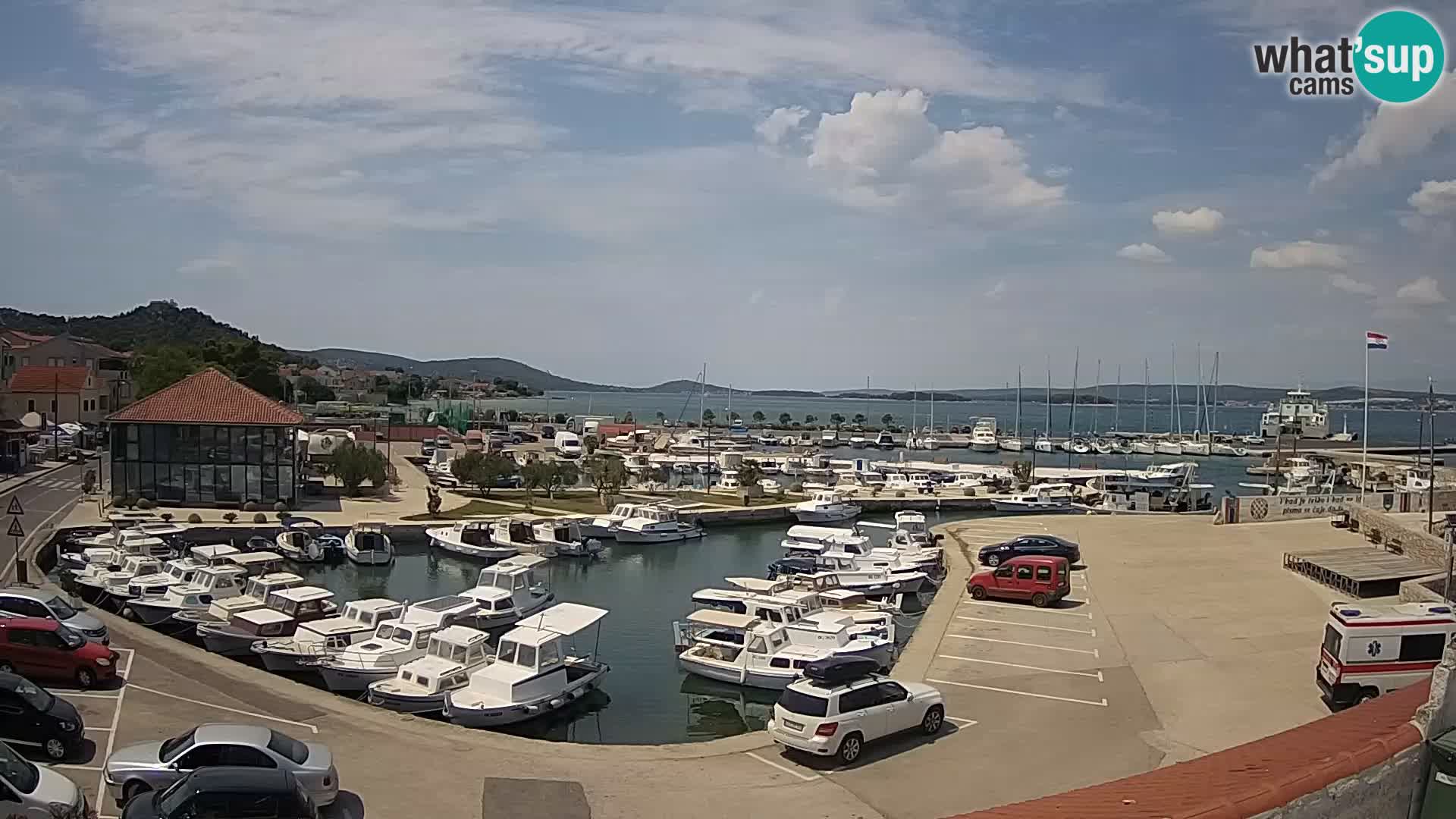 Webcam Live Tkon – Marina and port