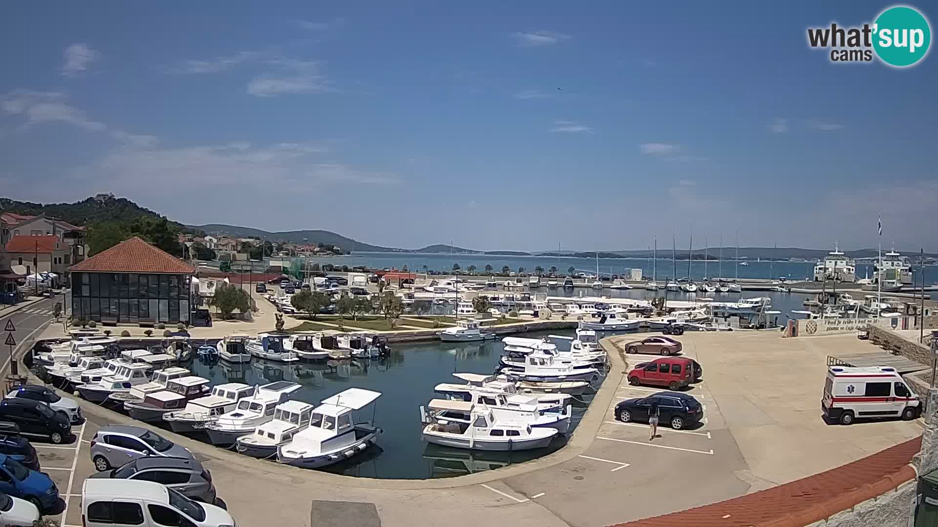 Webcam Live Tkon – Marina and port