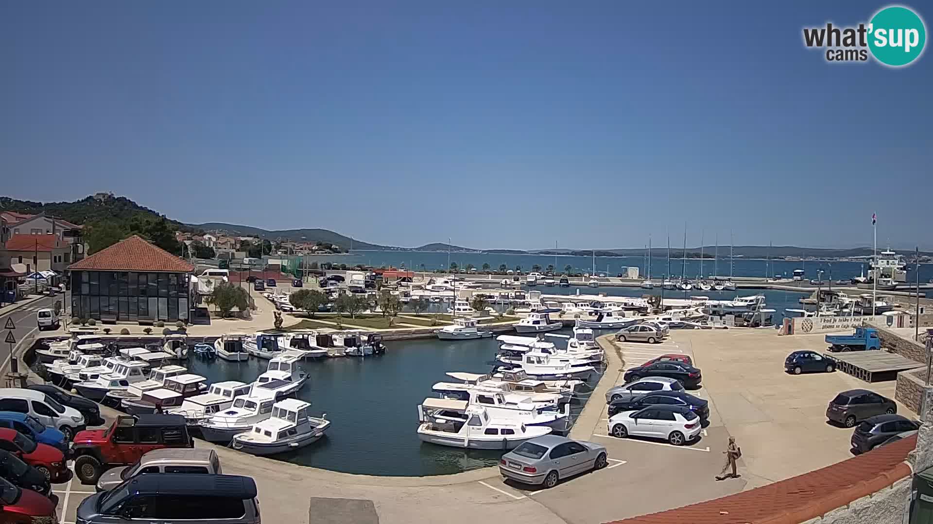 Webcam Live Tkon – Marina and port
