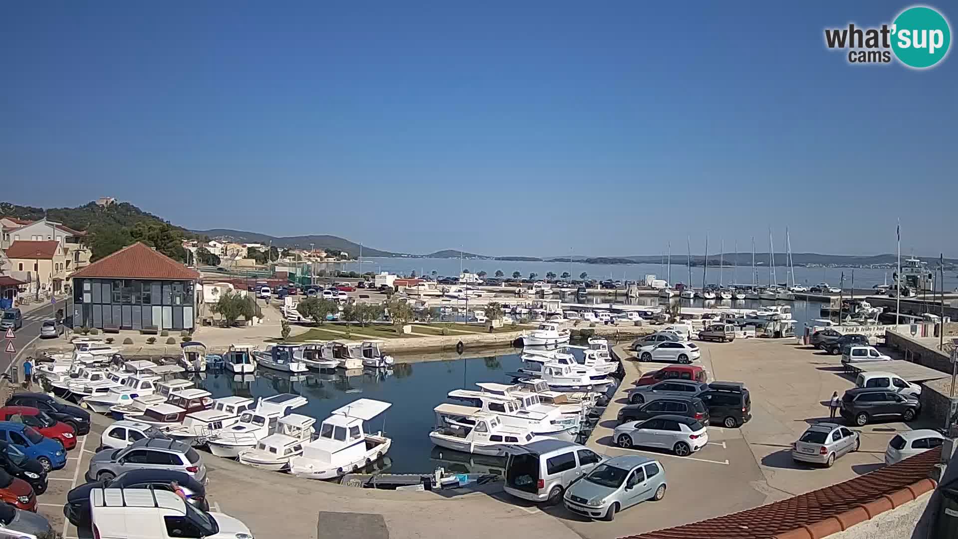 Webcam Live Tkon – Marina and port