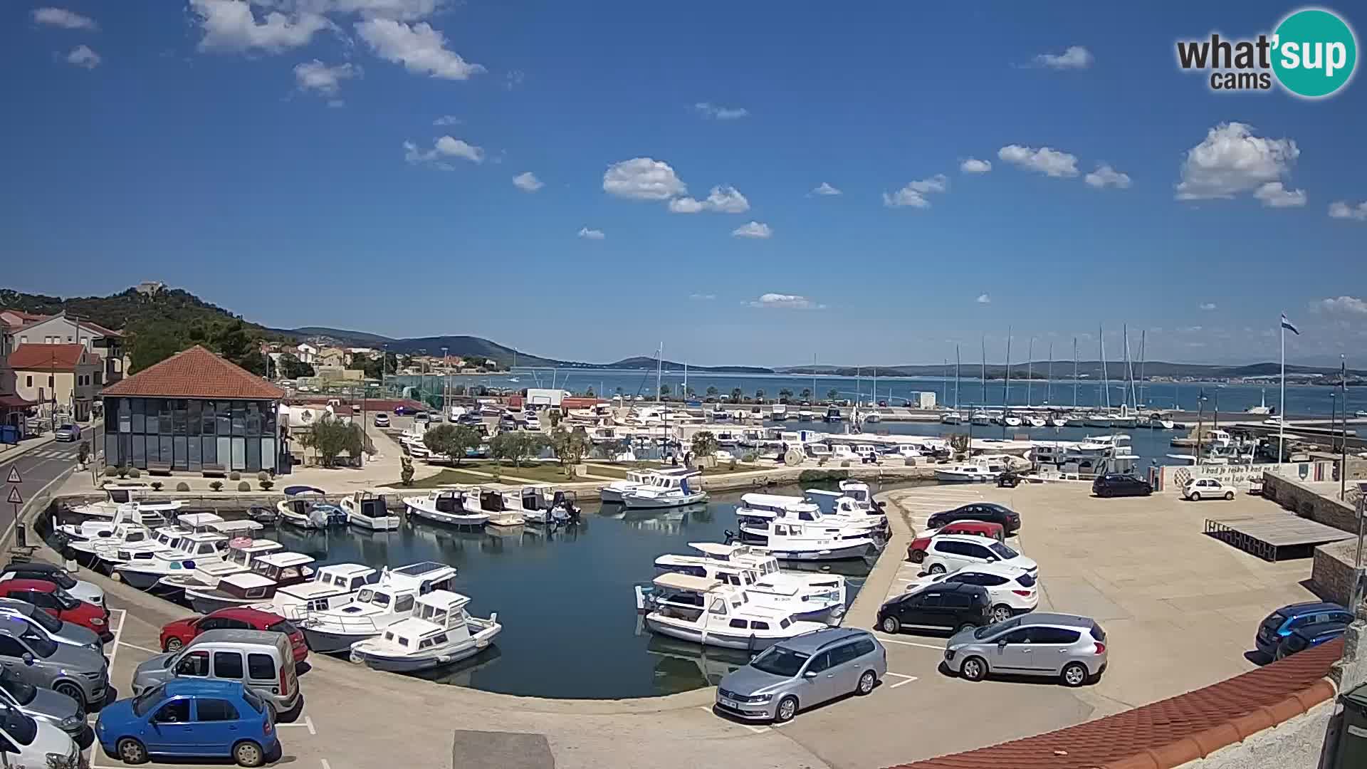 Webcam Live Tkon – Marina and port