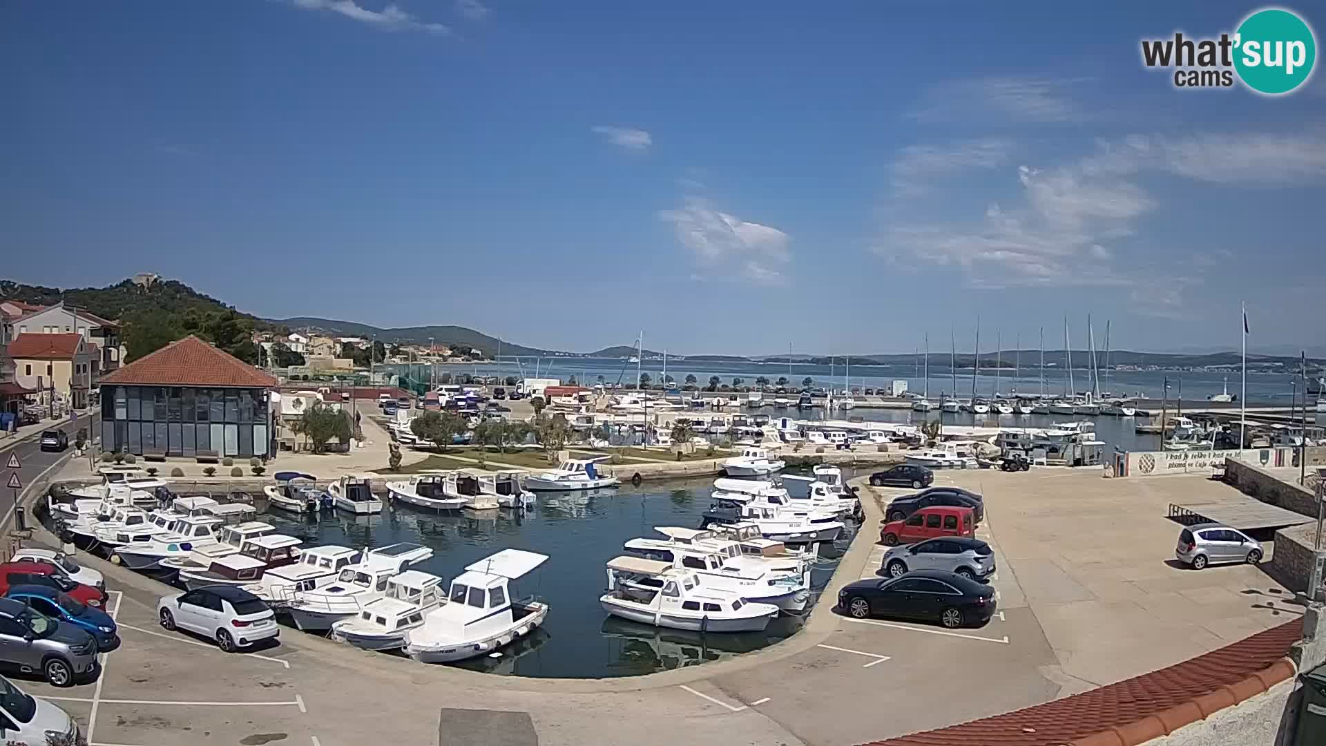 Webcam Live Tkon – Marina and port