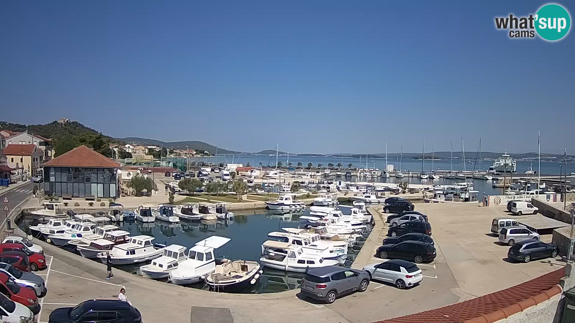 Webcam Live Tkon – Marina and port