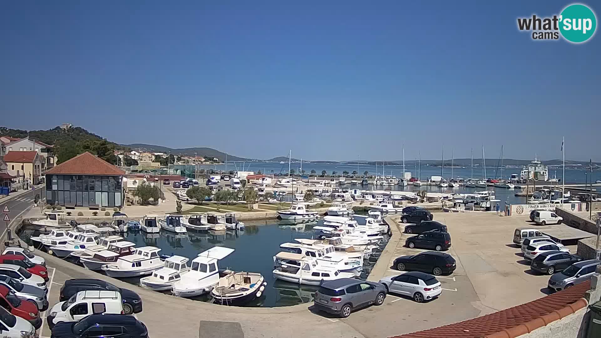 Webcam Live Tkon – Marina and port