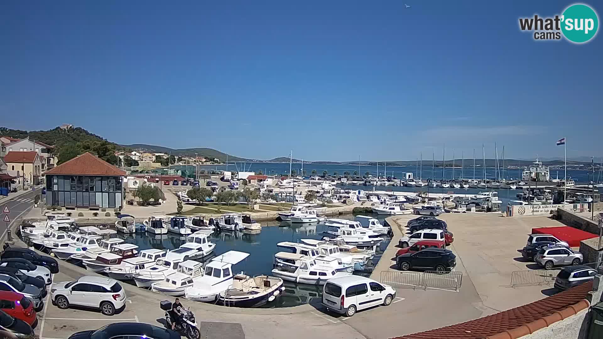 Webcam Live Tkon – Marina and port