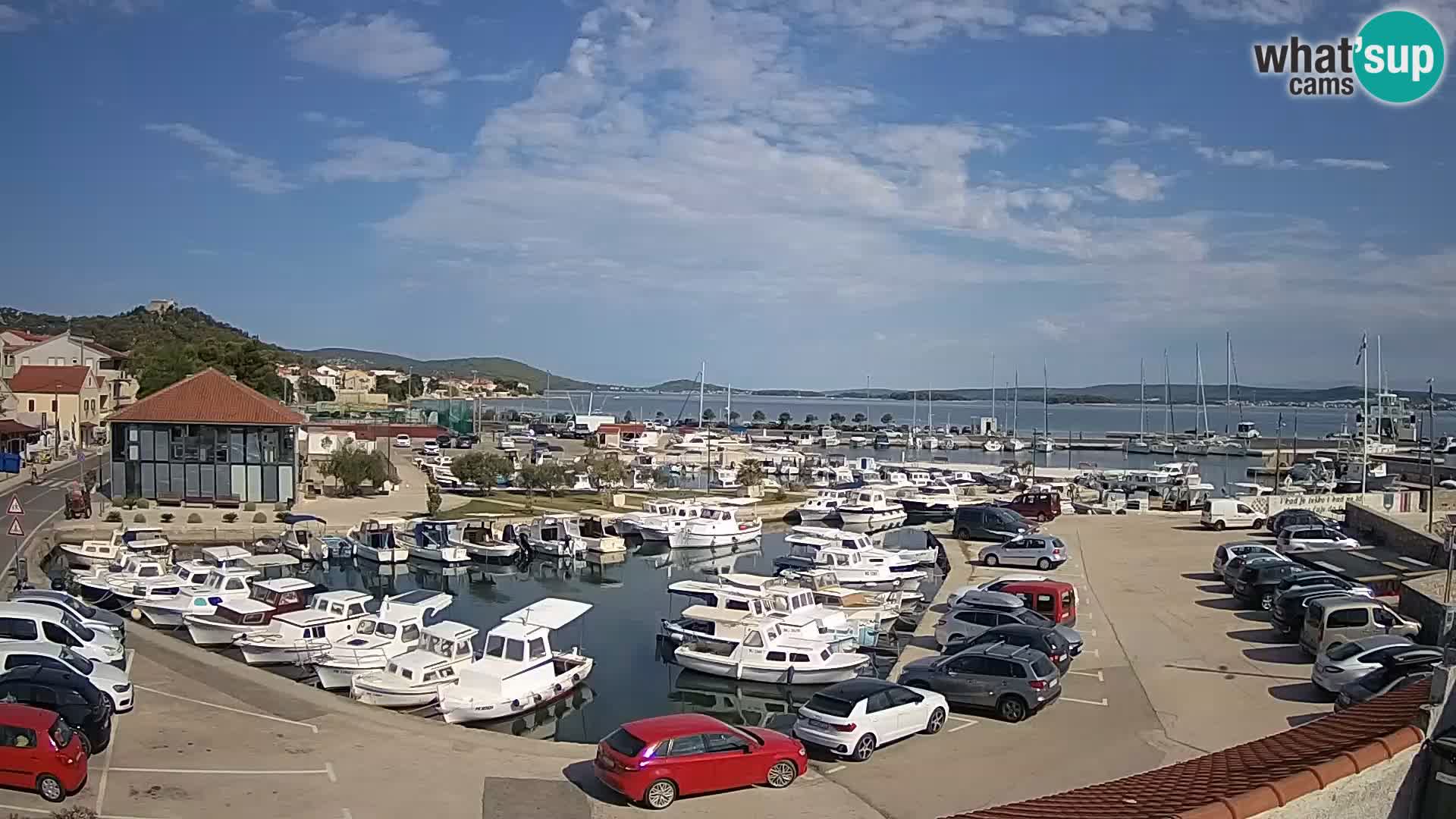 Webcam Live Tkon – Marina and port