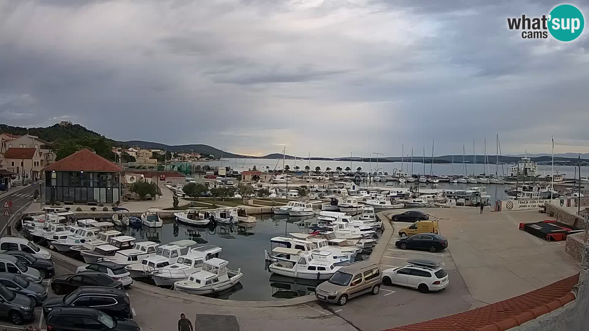 Webcam Live Tkon – Marina and port