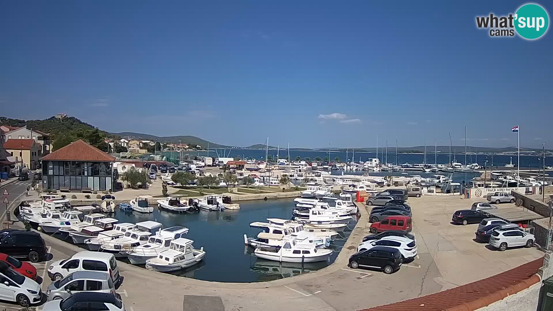 Webcam Live Tkon – Marina and port