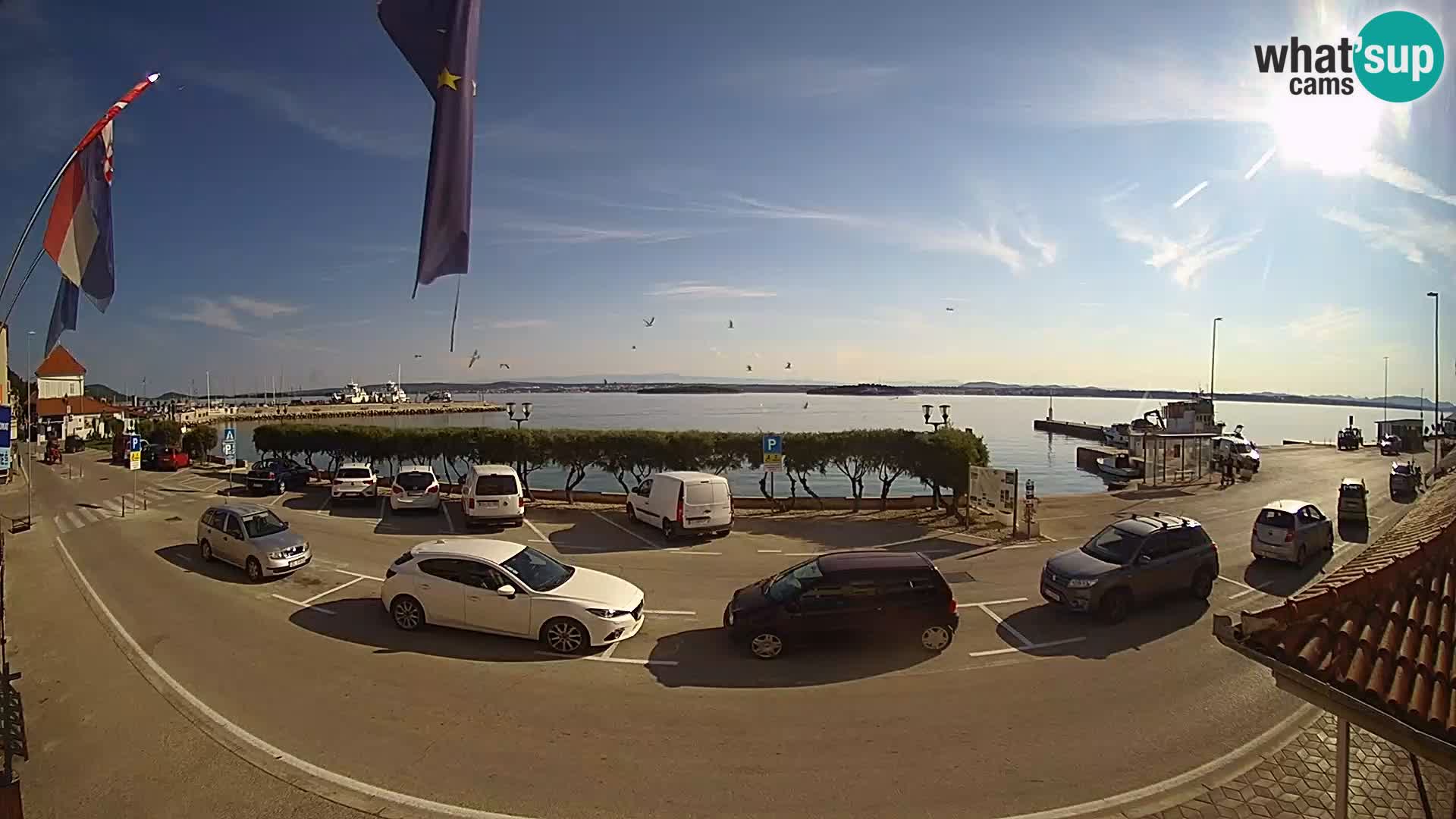 Spletna kamera Tkon – trajektni terminal