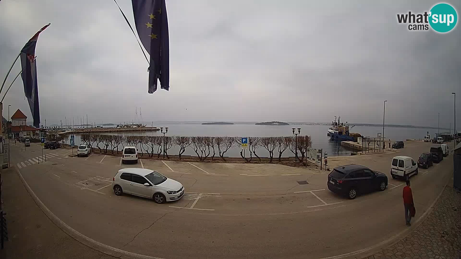 Spletna kamera Tkon – trajektni terminal