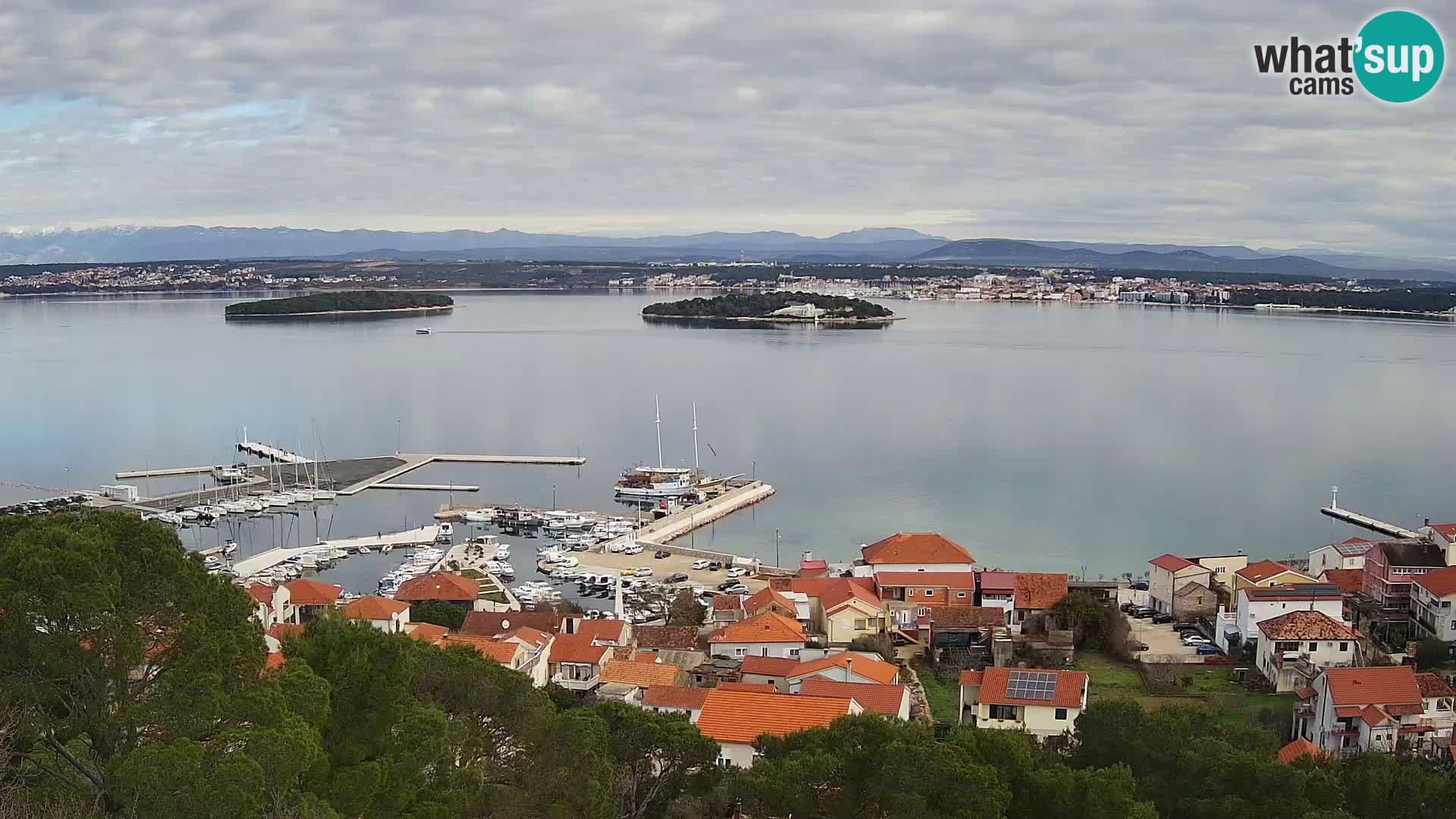 Kamera na żywo - Tkon