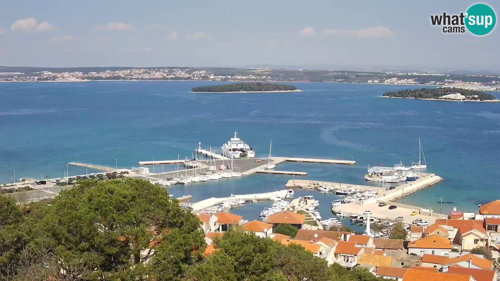 Kamera na żywo - Tkon