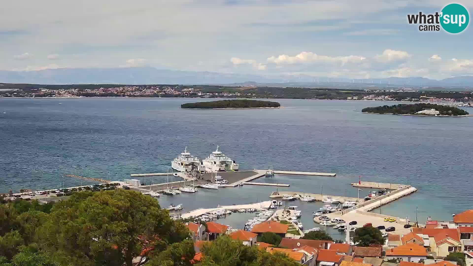 Webcam - Tkon