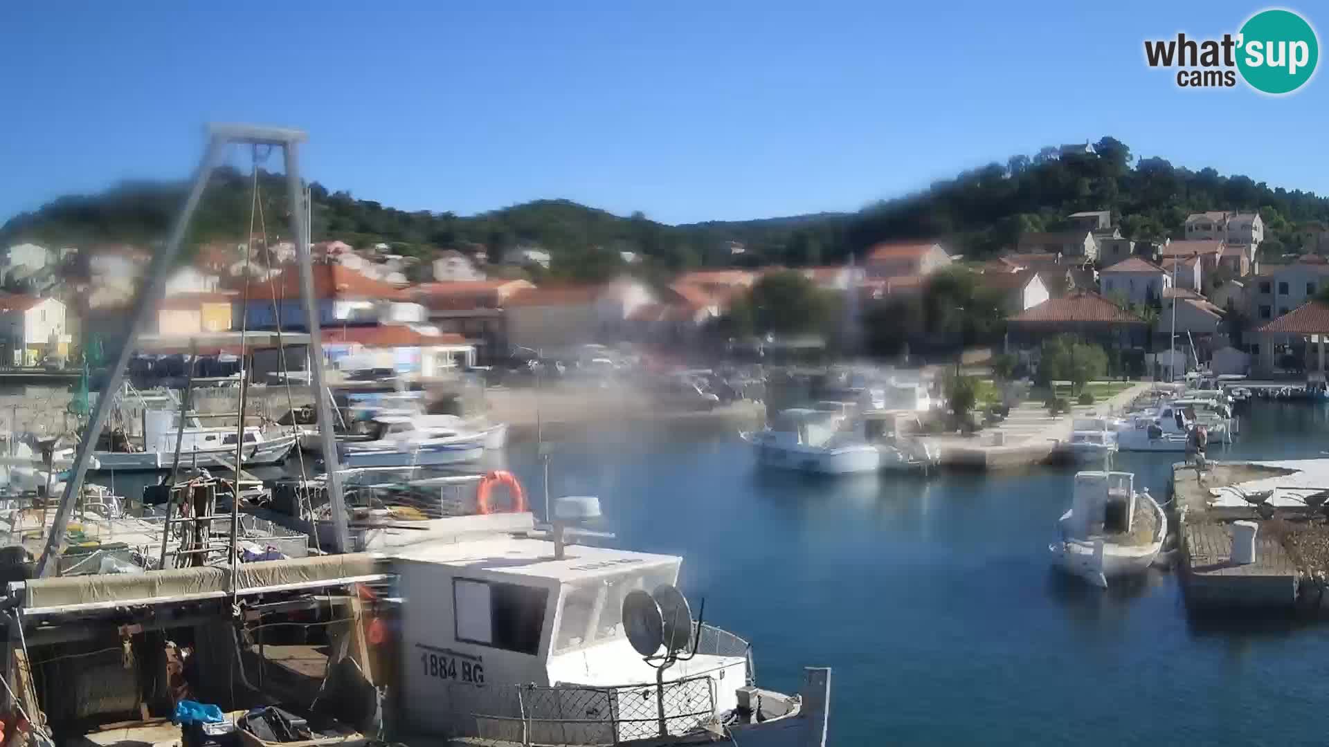 Webcam Tkon – marina und staad