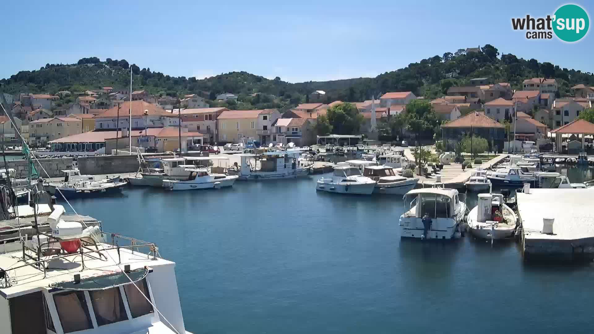Webcam Tkon – marina e la città
