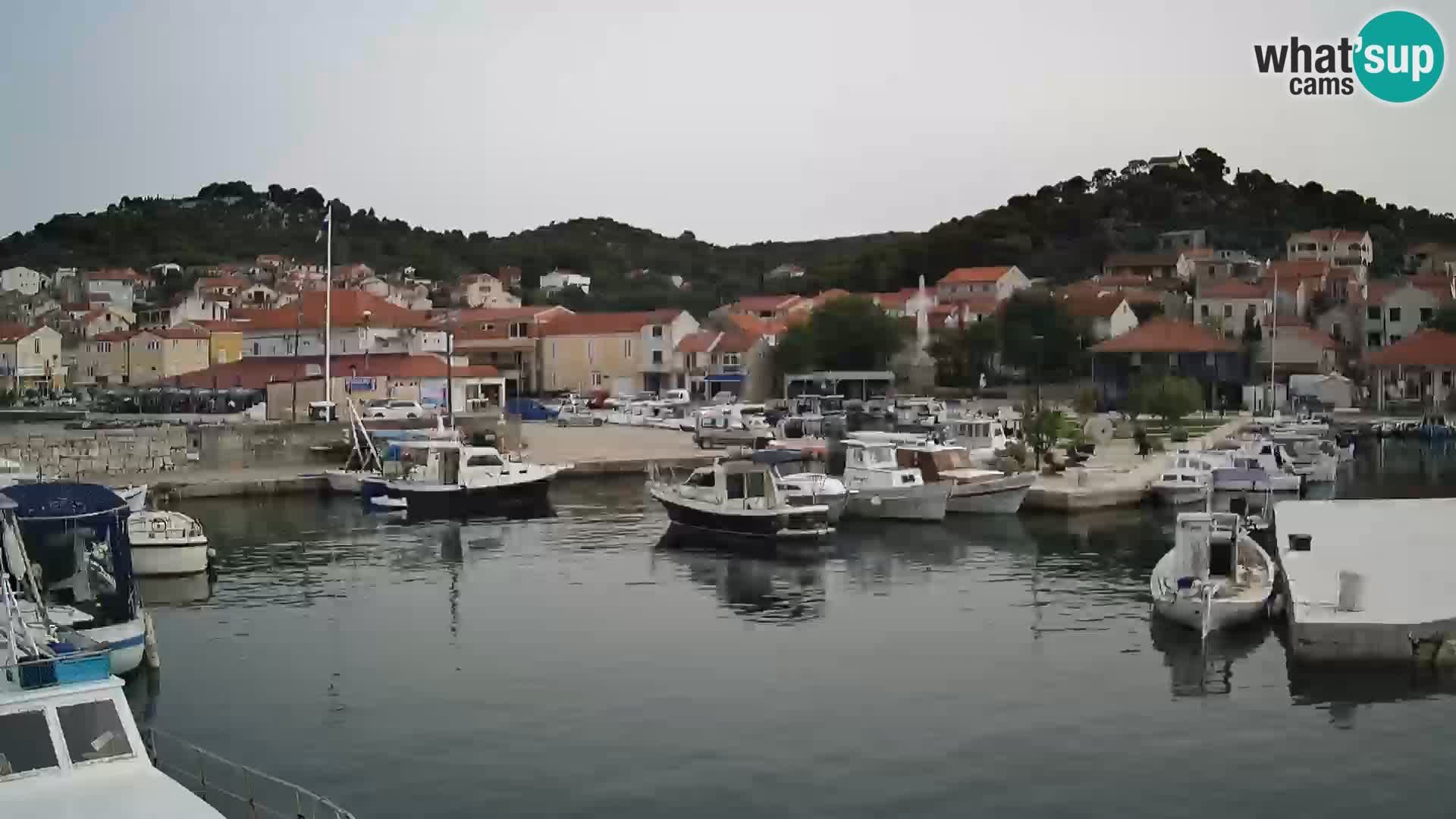 Webcam Tkon – marina e la città