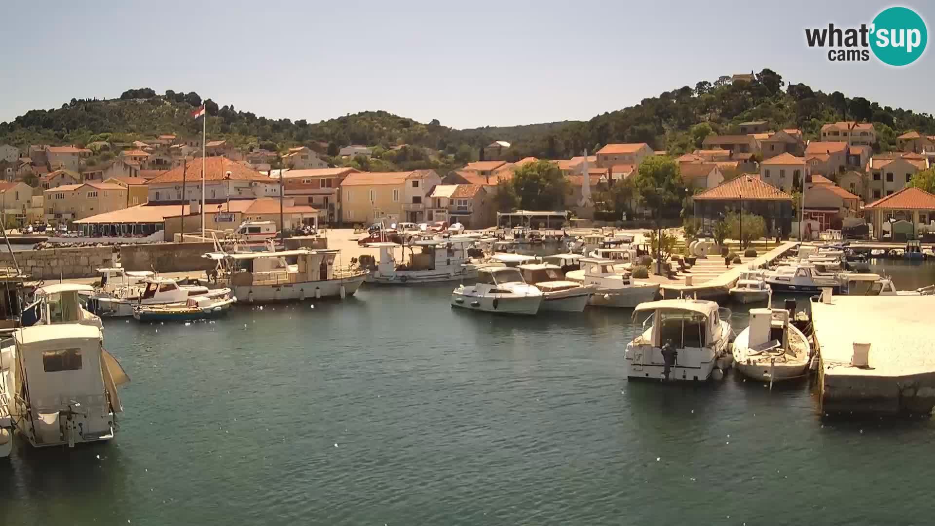 Webcam Tkon – marina und staad