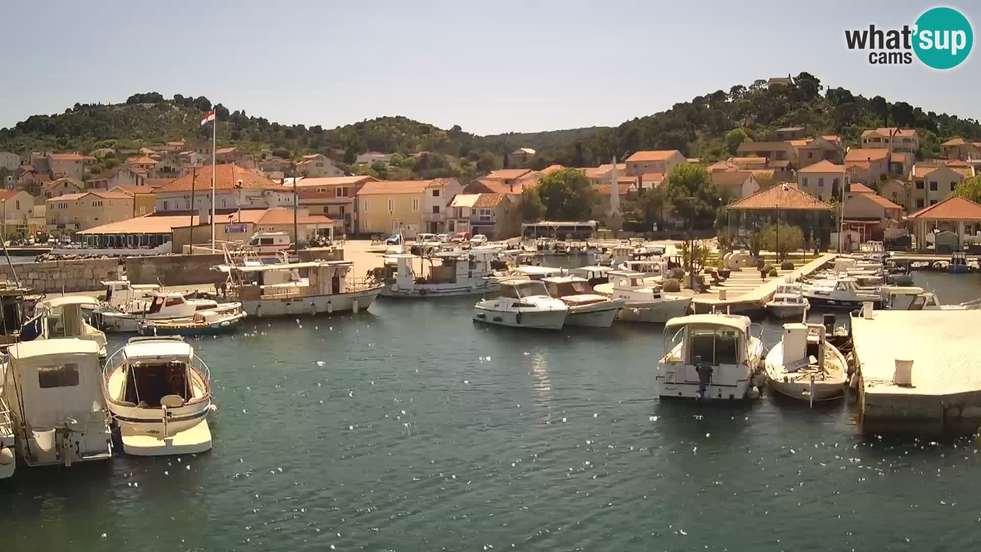 Webcam Tkon – marina e la città