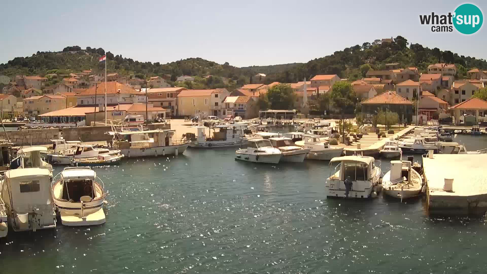 Webcam Tkon – marina e la città