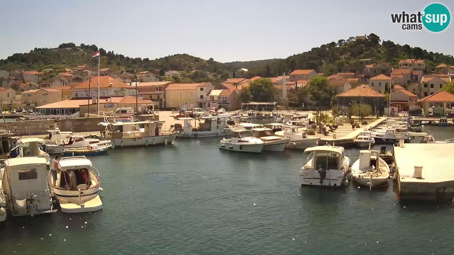 Webcam Tkon – marina e la città