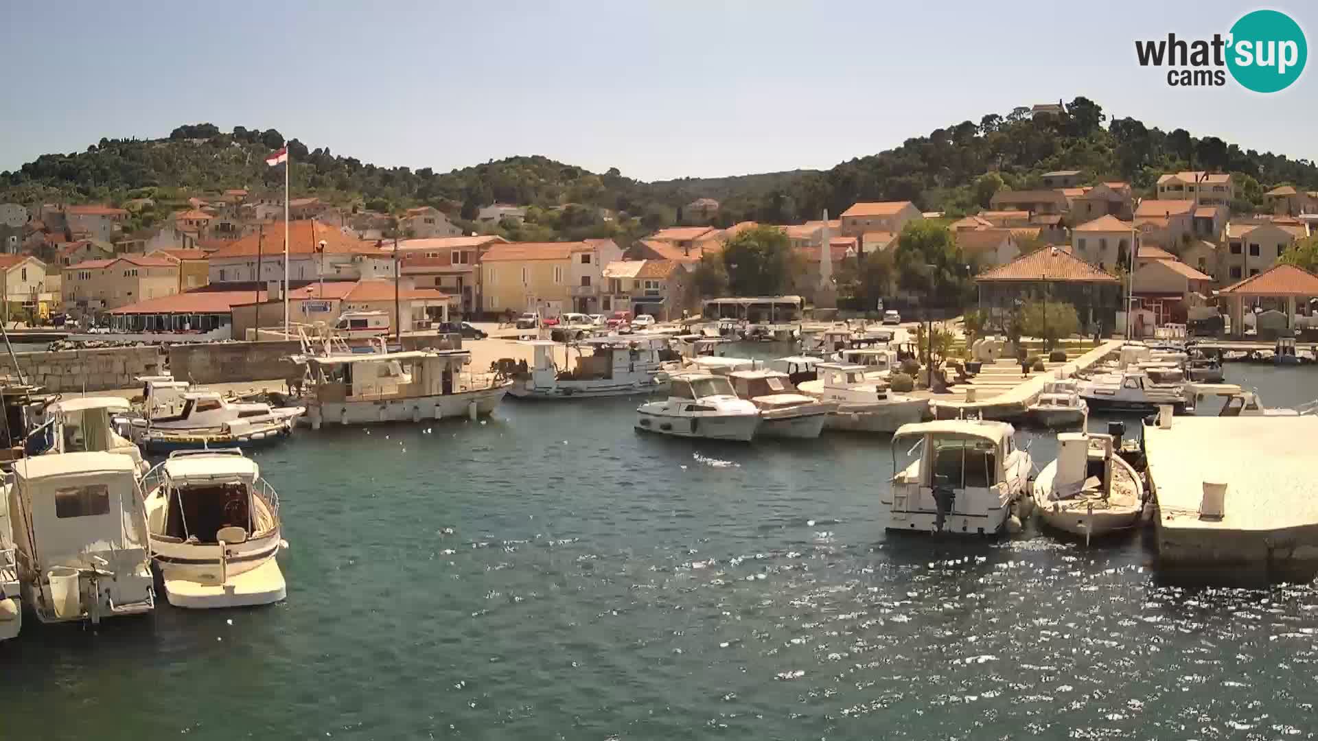 Webcam Tkon – marina e la città