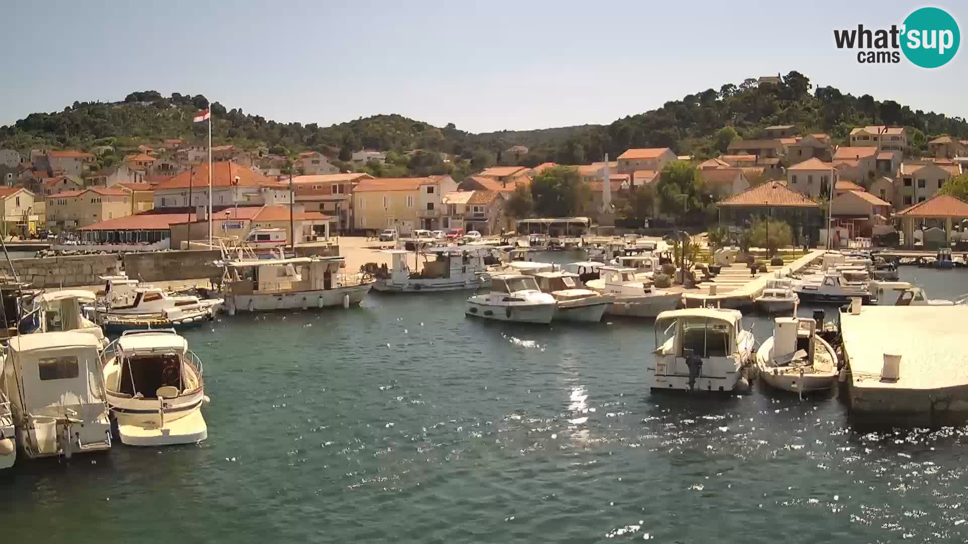 Webcam Tkon – marina e la città