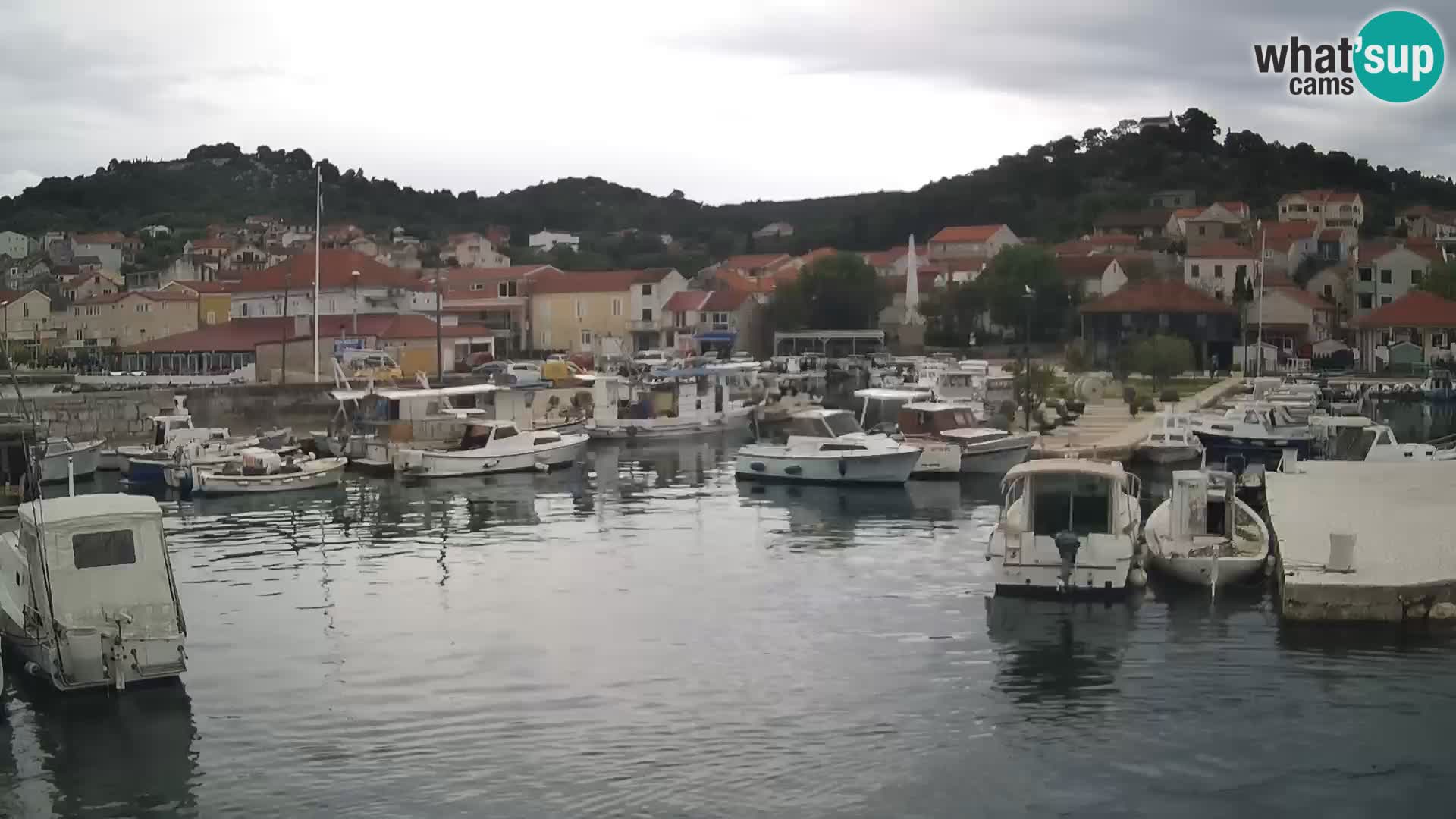 Spletna kamera Tkon – Marina in mesto