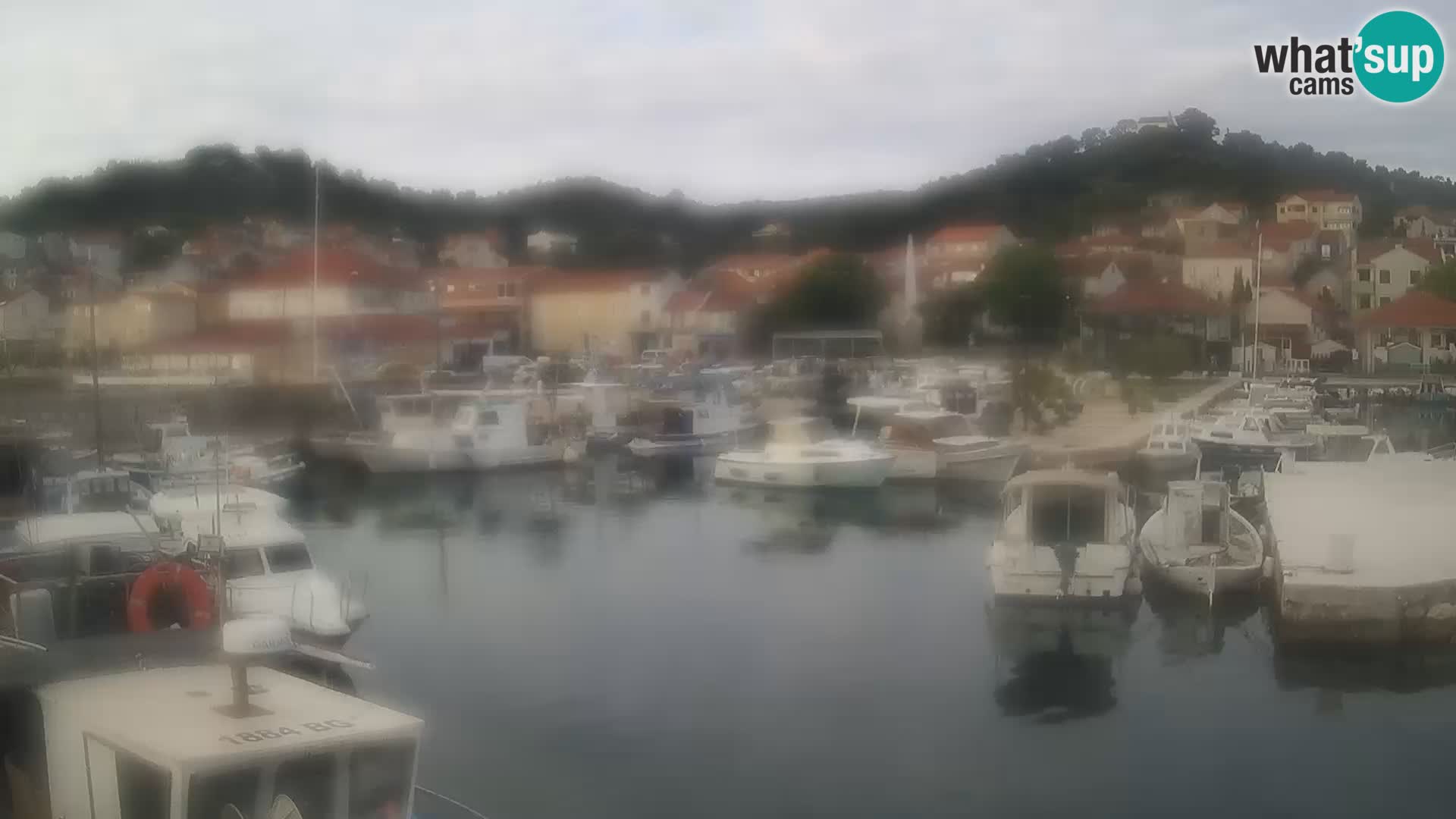Webcam Tkon – marina e la città