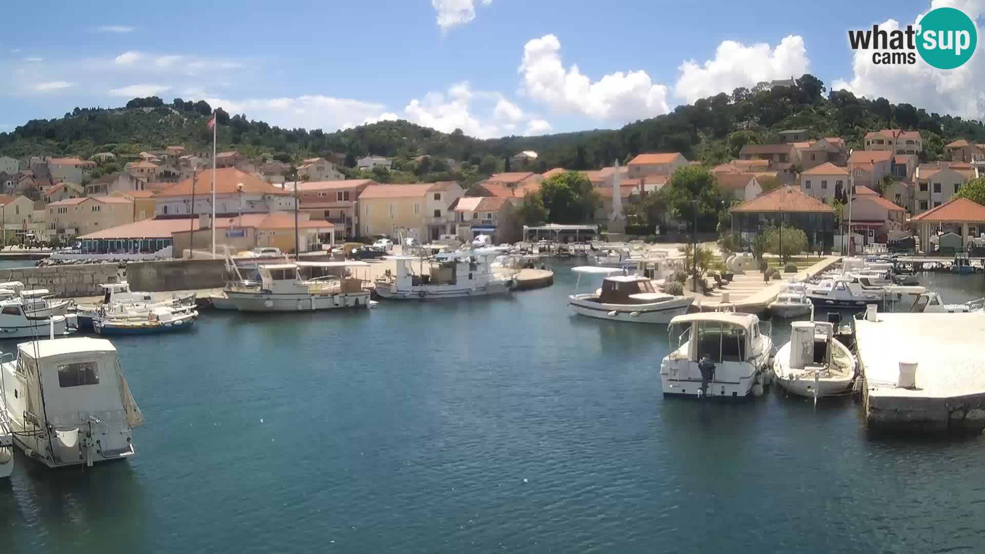 Webcam Tkon – marina e la città