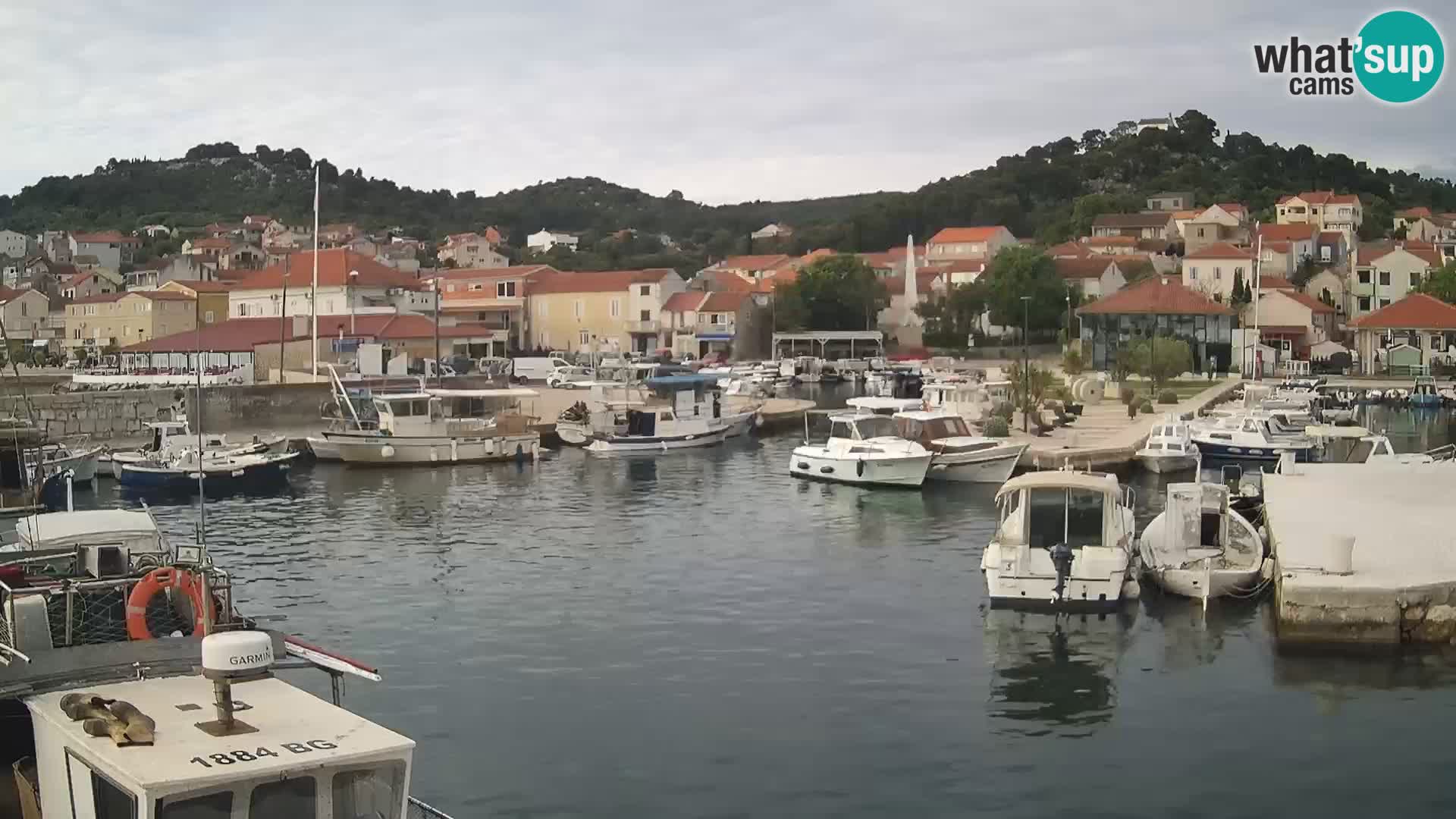 Spletna kamera Tkon – Marina in mesto