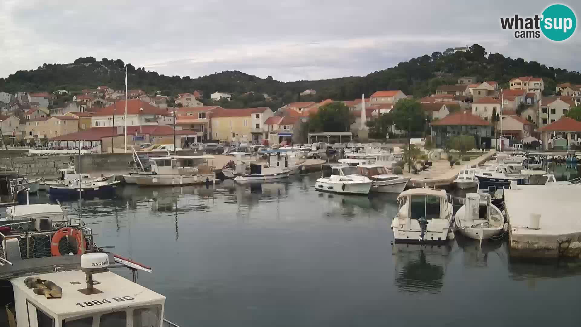 Webcam Tkon – marina e la città