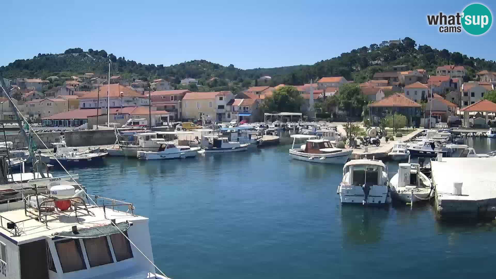 Webcam Tkon – marina e la città