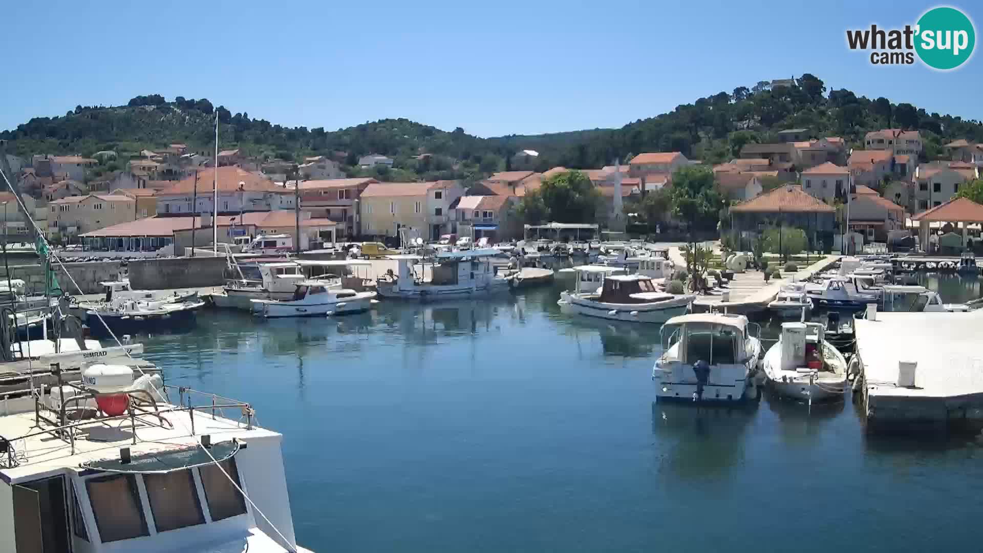 Webcam Tkon – marina e la città