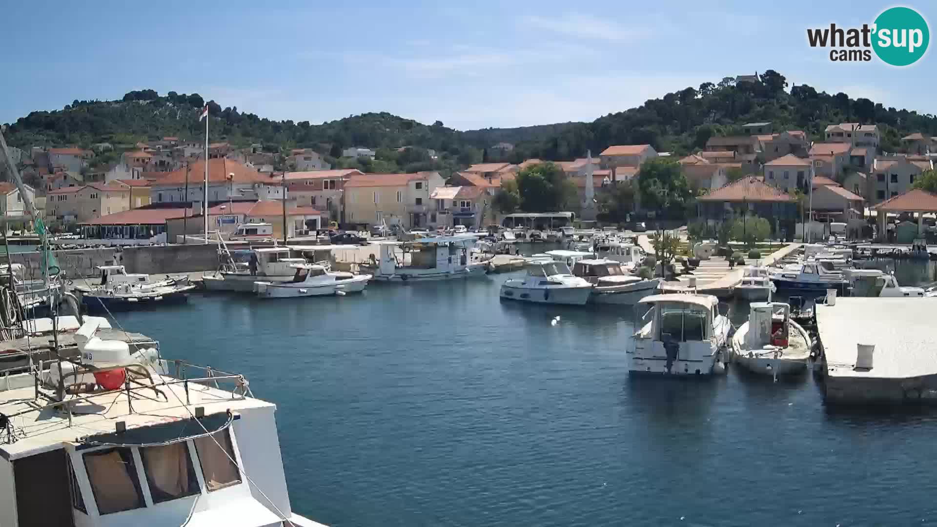 Spletna kamera Tkon – Marina in mesto