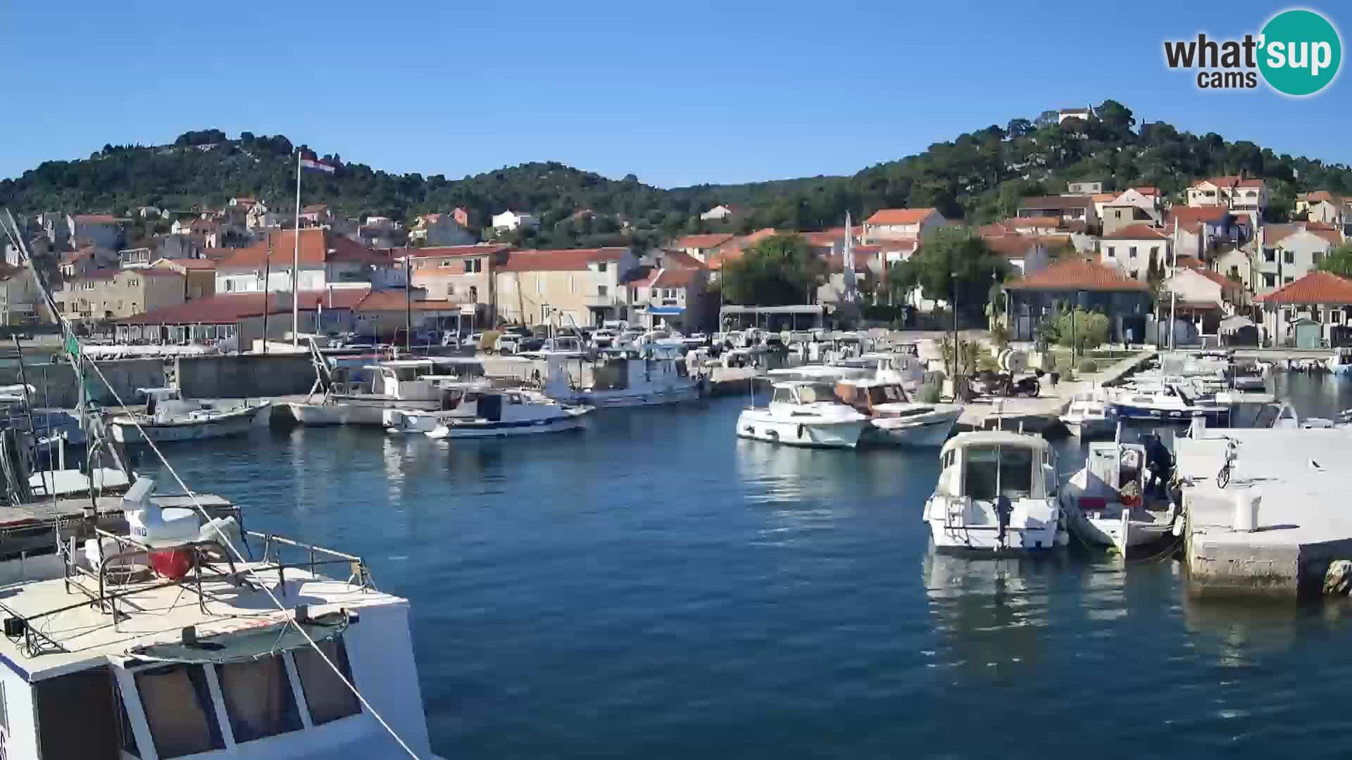 Spletna kamera Tkon – Marina in mesto