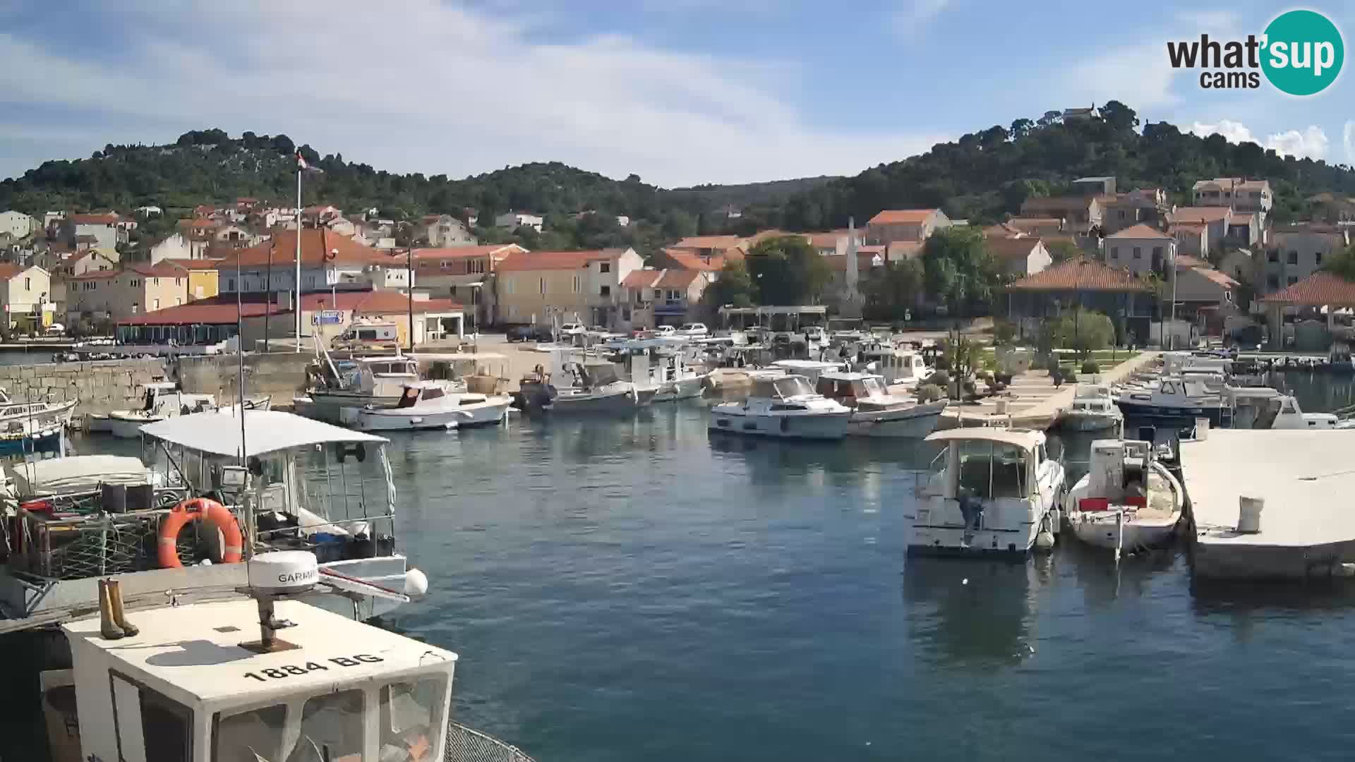 Webcam Tkon – marina e la città
