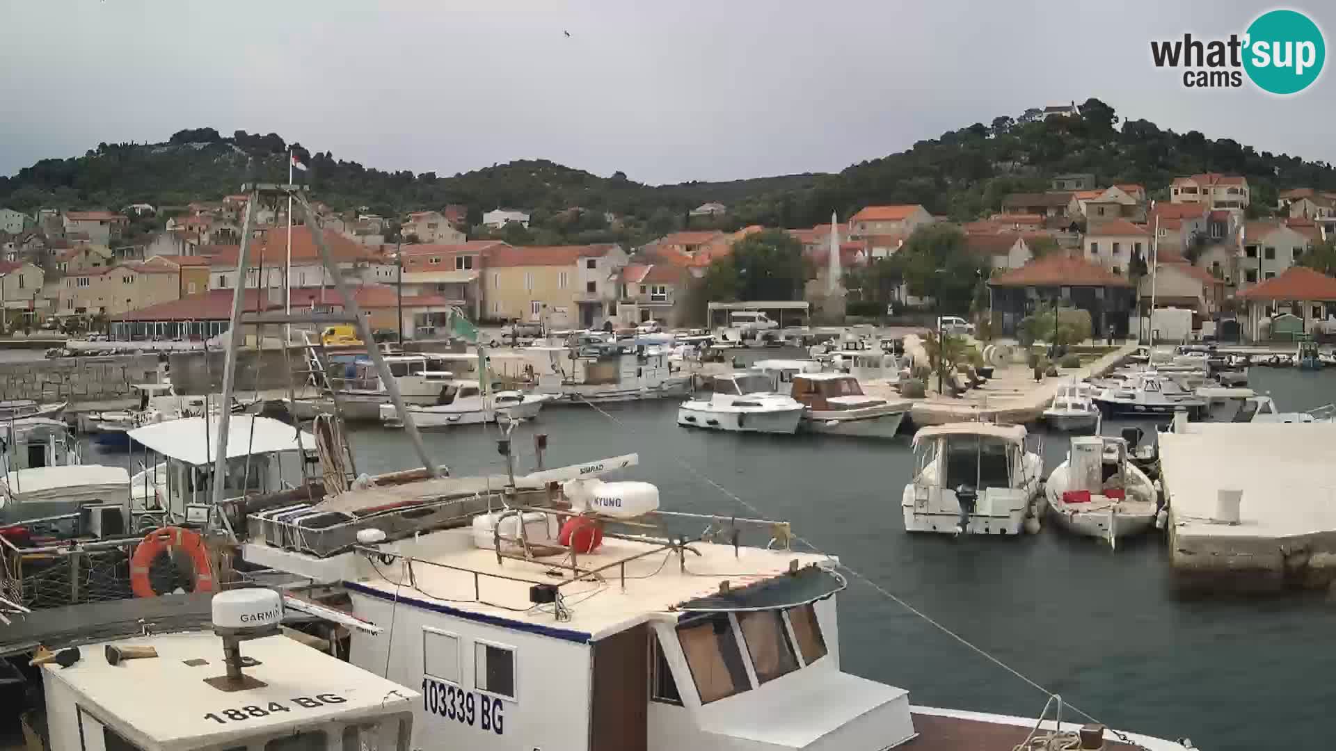 Spletna kamera Tkon – Marina in mesto