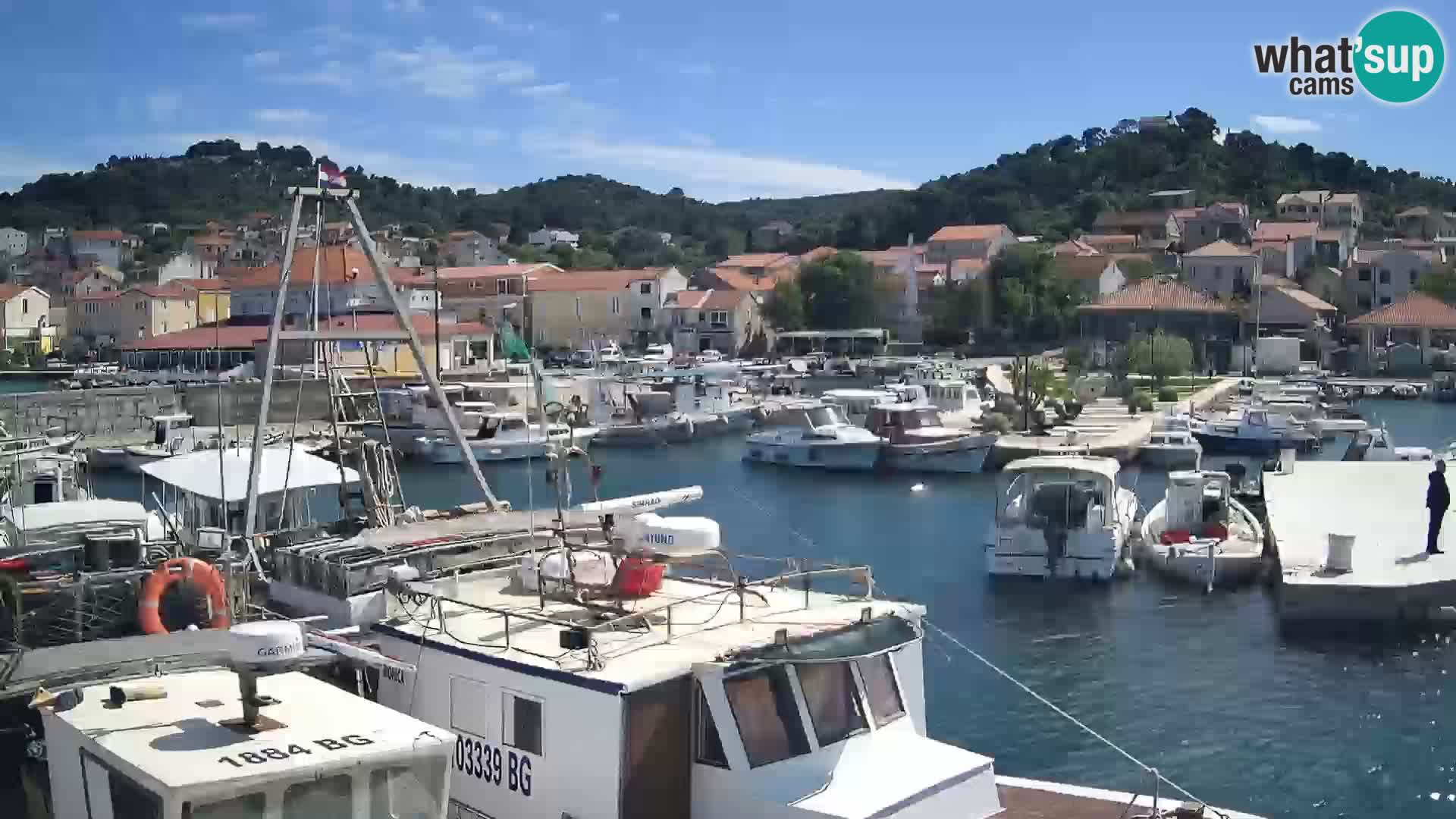 Webcam Tkon – marina e la città
