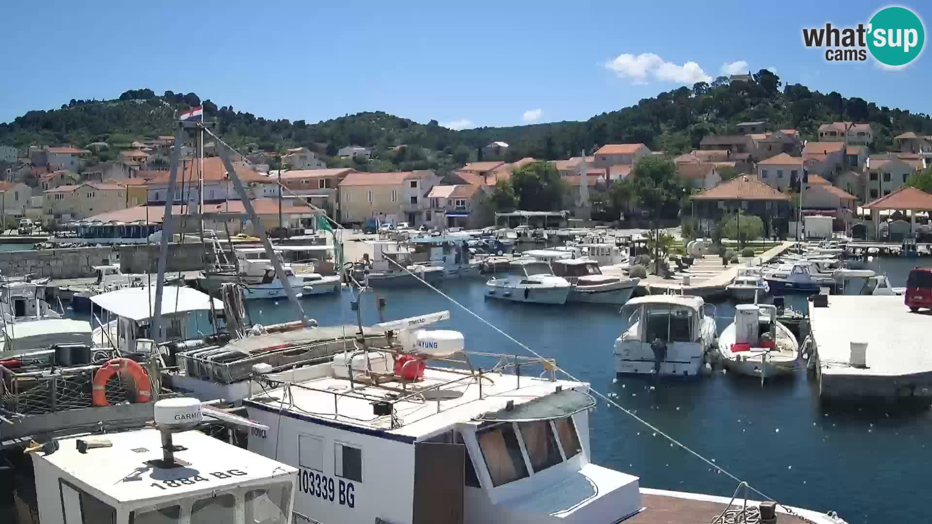 Spletna kamera Tkon – Marina in mesto