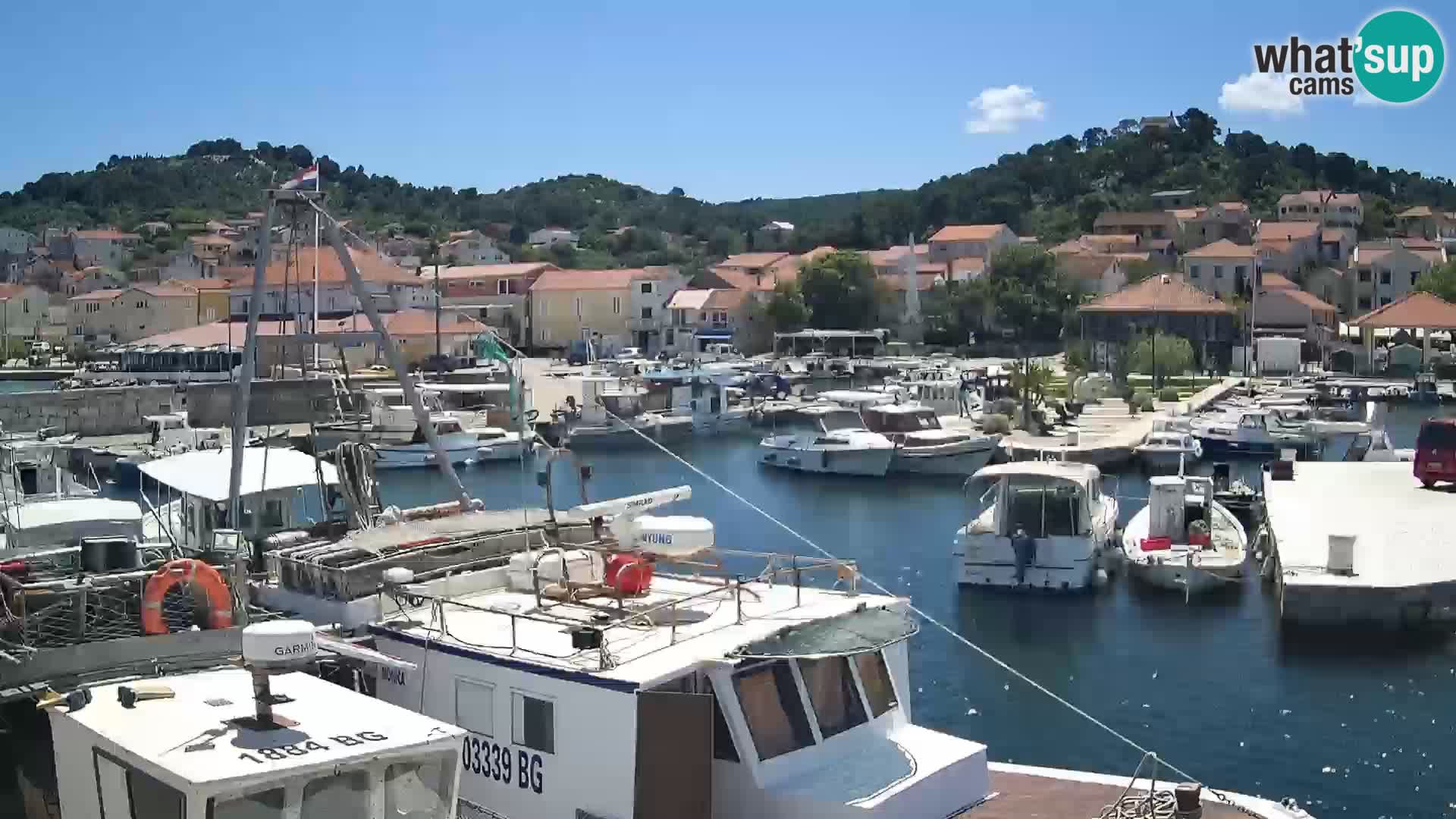 Spletna kamera Tkon – Marina in mesto