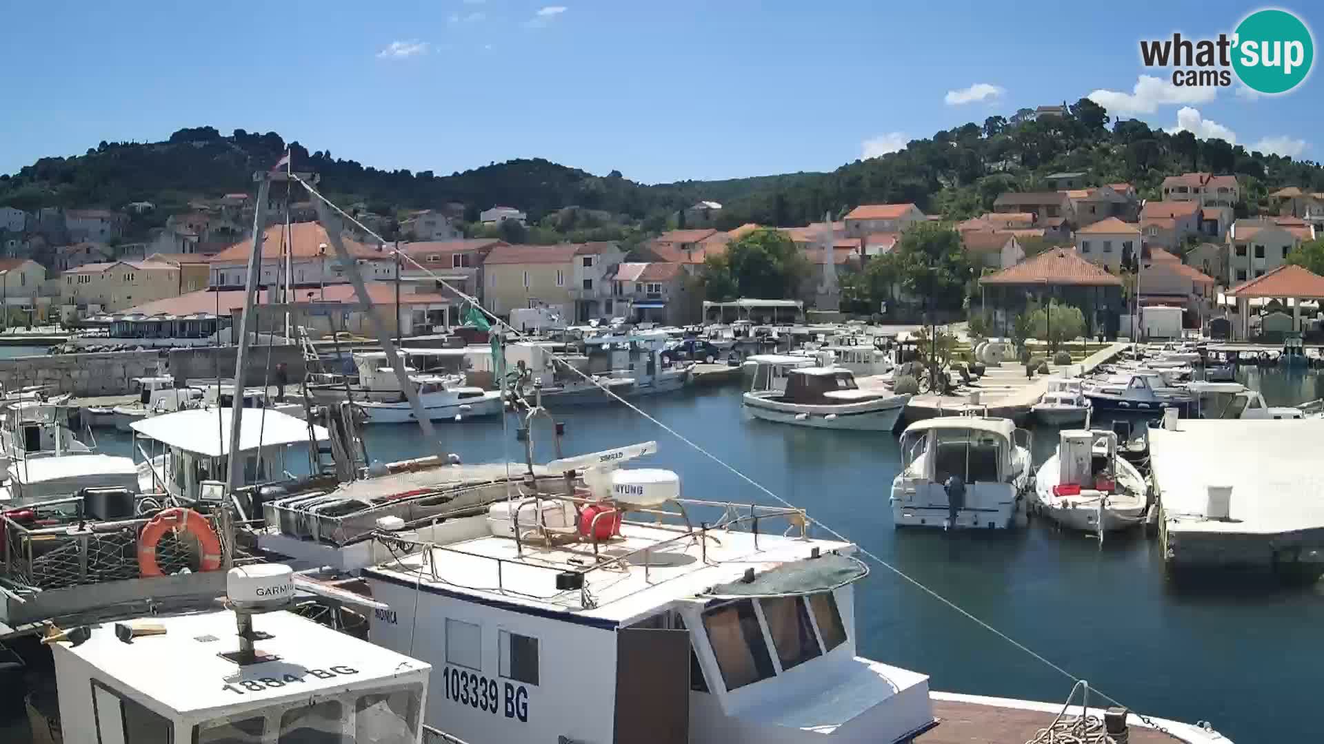 Spletna kamera Tkon – Marina in mesto