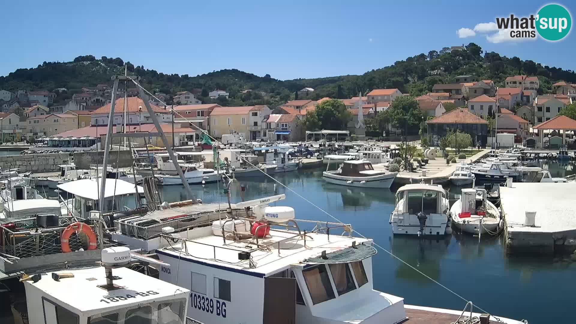 Webcam Tkon – marina und staad