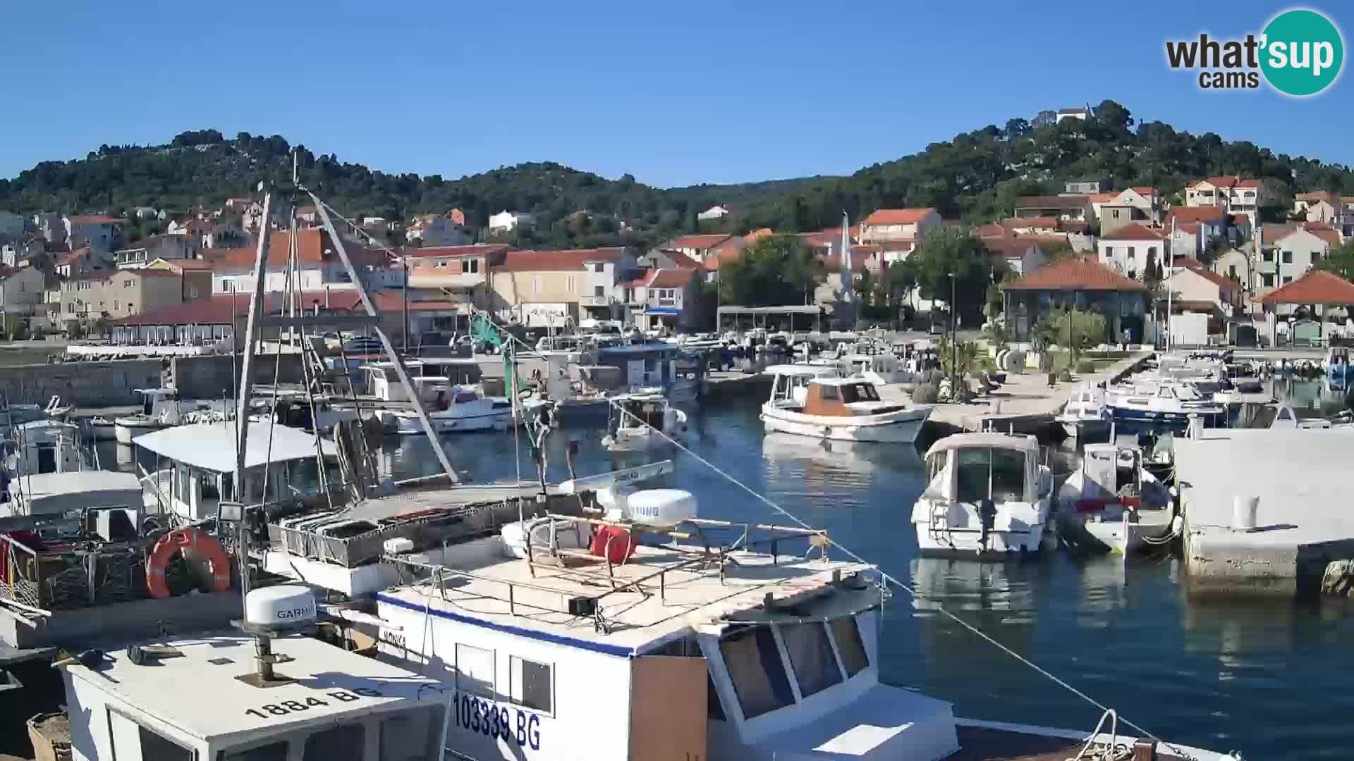 Webcam Tkon – marina und staad