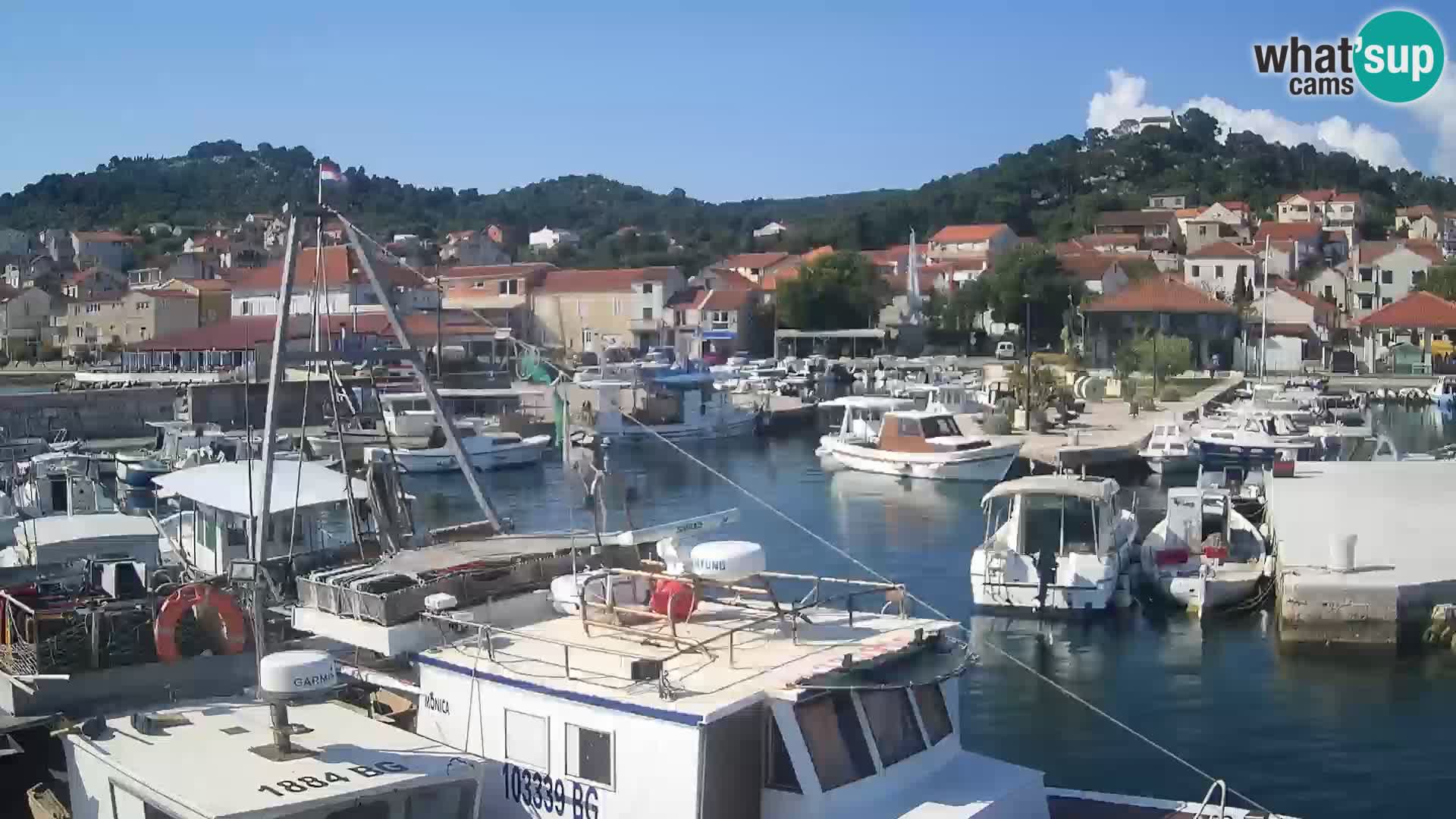 Webcam Tkon – marina e la città